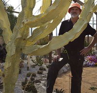 Cactus Country - Holiday Cairns