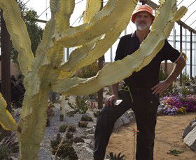 Cactus Country - Holiday Cairns 0
