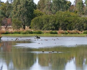 Tatura VIC Holiday Cairns