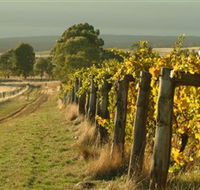 Captains Creek Organic Wines - Holiday Cairns