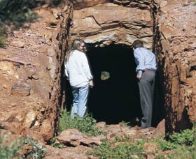 Yalgoo ACT Holiday Cairns