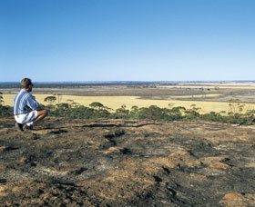 Marshall Rock - Holiday Cairns 0
