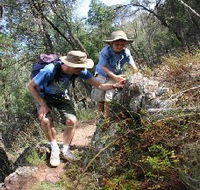 Mount Arthur Reserve - Holiday Cairns