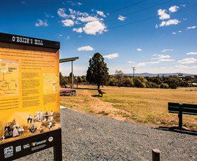 O'Brien's Hill - Holiday Cairns 0
