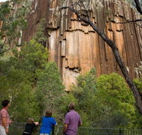Sawn Rocks walking track - Holiday Cairns