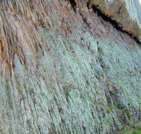 The Rock Nature Reserve - Kengal Aboriginal Place - Holiday Cairns