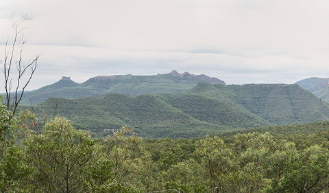 Deriah Aboriginal Information Bay - Holiday Cairns 3