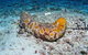 Two Towers Dive Site - thumb 0