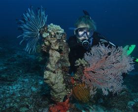 Two Towers Dive Site - Holiday Cairns 3