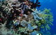 Two Towers Dive Site - thumb 2