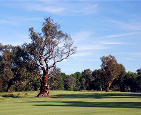Corowa Golf Club - Holiday Cairns 5