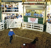 Gracemere Exhibition Complex - Holiday Cairns