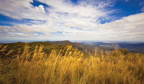Mount Kaputar Summit Walk - Holiday Cairns 1