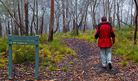 Mount Kaputar Summit Walk - Holiday Cairns 2