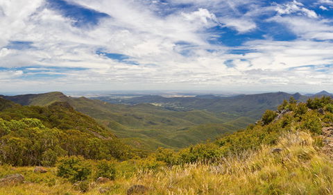 Mount Kaputar Summit Walk - Holiday Cairns 3