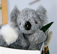 Timboon Toybox - Holiday Cairns