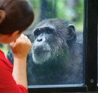 The Rockhampton Zoo - Holiday Cairns