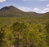 Kutini-Payamu Iron Range National Park CYPAL - Holiday Cairns