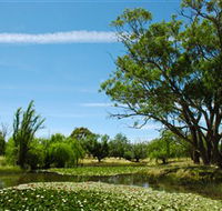 Wirraminna Environmental Education Centre - Holiday Cairns