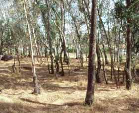 Chiltern-Mt Pilot National Park - Holiday Cairns 0