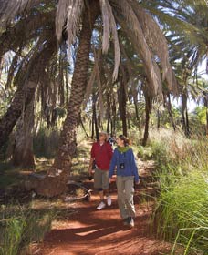 Millstream Chichester National Park - Holiday Cairns 2
