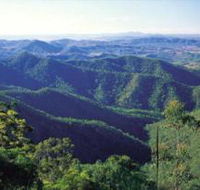 Kroombit Tops National Park - Holiday Cairns