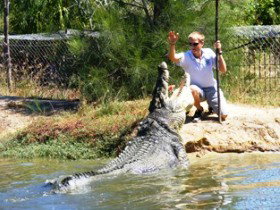 Koorana Crocodile Farm - Holiday Cairns 1