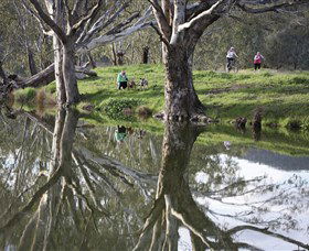 Wagirra Trail And Yindyamarra Sculpture Walk - Holiday Cairns 1