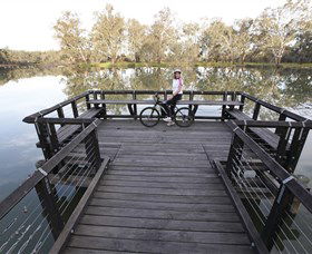 Wagirra Trail And Yindyamarra Sculpture Walk - Holiday Cairns 6