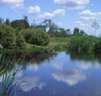 Yan Yean Reservoir Park - Holiday Cairns