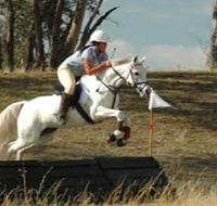 National Equestrian Centre - Kerrabee - Holiday Cairns