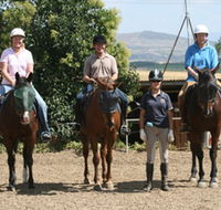 Forest Park Riding and Equitation School - Holiday Cairns