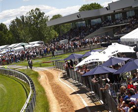Thoroughbred Park Canberra Racing Club - Horse Racing In The Nations Capital - Holiday Cairns 0