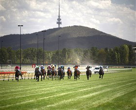 Thoroughbred Park Canberra Racing Club - Horse Racing In The Nations Capital - Holiday Cairns 3