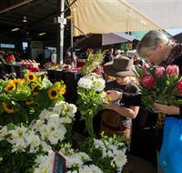 Capital Region Farmers Markets - Holiday Cairns