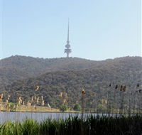Black Mountain Peninsula - Holiday Cairns