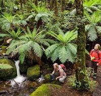 Baw Baw National Park - Holiday Cairns