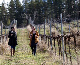 Mount Majura Vineyard - Holiday Cairns 0