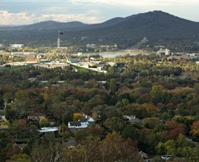 Red Hill Lookout - Holiday Cairns 3