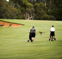 Federal Golf Club - Holiday Cairns