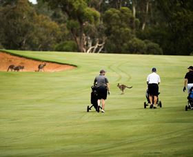 Federal Golf Club - Holiday Cairns 0