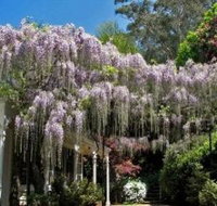 Nooroo Gardens - Holiday Cairns