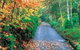 Mount Wilson And Mount Irvine - thumb 0