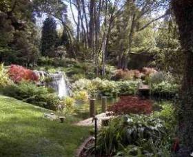 Windyridge Garden Mount Wilson - Holiday Cairns 0