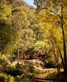 Walhalla Goldfields Railway - Holiday Cairns 3