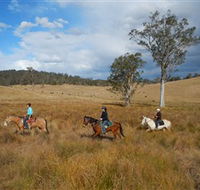 Chapman Valley Horse Riding - Holiday Cairns