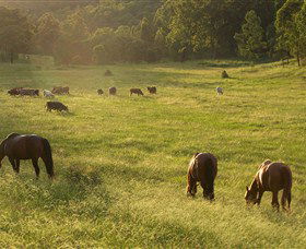 Chapman Valley Horse Riding - Holiday Cairns 4