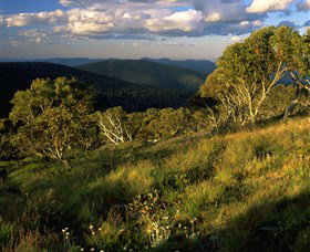 Namadgi National Park And Visitors Centre - Holiday Cairns 2