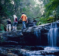South Lawson Waterfall Circuit - Holiday Cairns