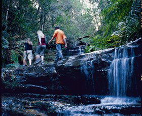 South Lawson Waterfall Circuit - Holiday Cairns 0